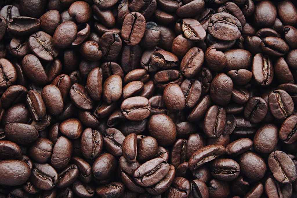 Best Coffee Beans Selection Tips: How to Choose Every Time